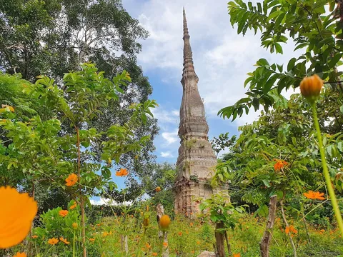 Kỳ bí tháp cổ nghìn năm rêu phong giữa đại ngàn và nguy cơ hoang phế